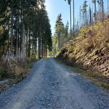 ホームステイ Dziadkowiec